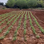 Masseria Marciane Uggiano La Chiesa