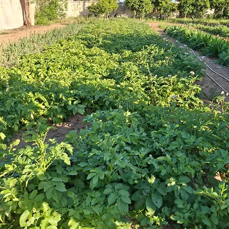 Апартаменты Masseria Marciane *