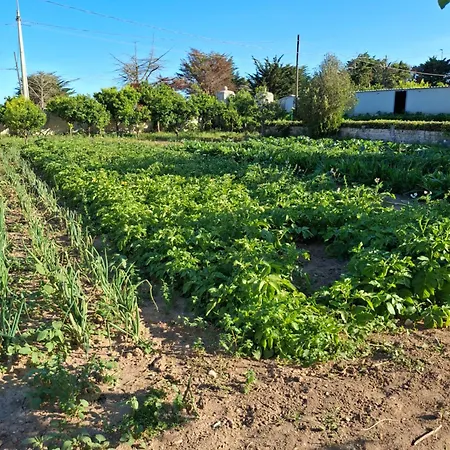 Апартаменты Masseria Marciane